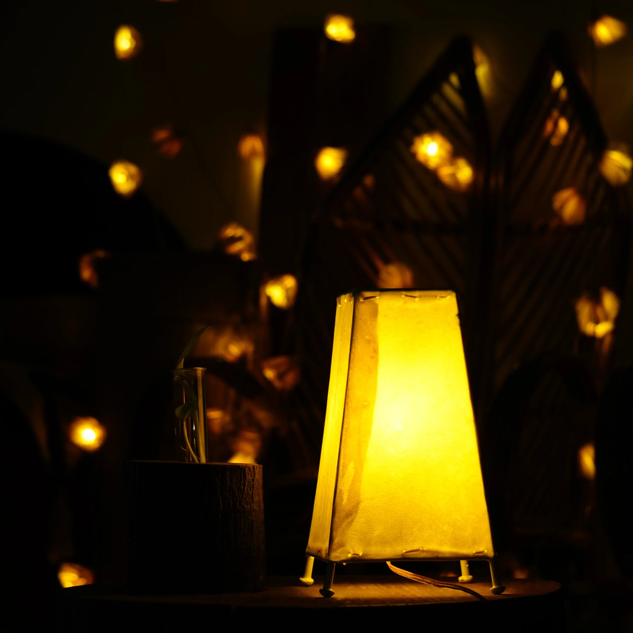 Plain Leather lamps - Image 5