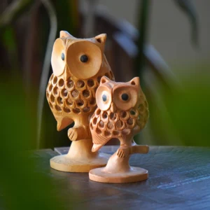Hand-Carved Wooden Jail Owl Figurine